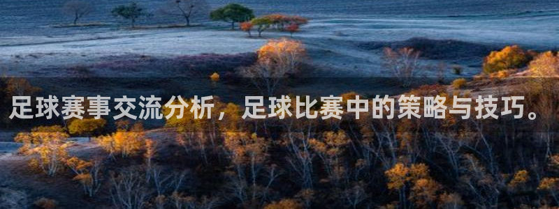 足球赛事交流分析，足球比赛中的策略与技巧。