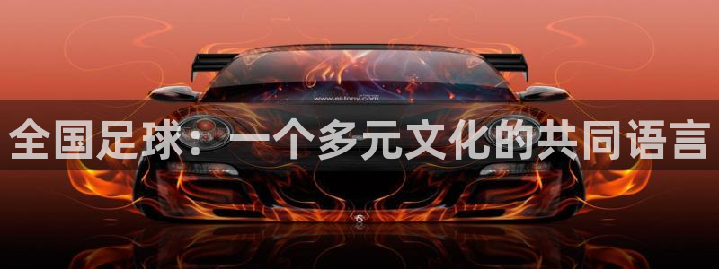 全国足球：一个多元文化的共同语言